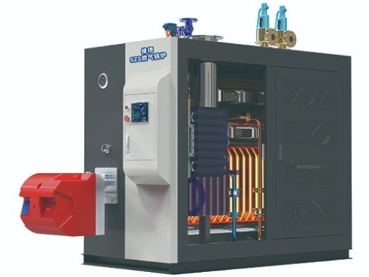 D级1吨新型燃油（气）蒸汽锅炉